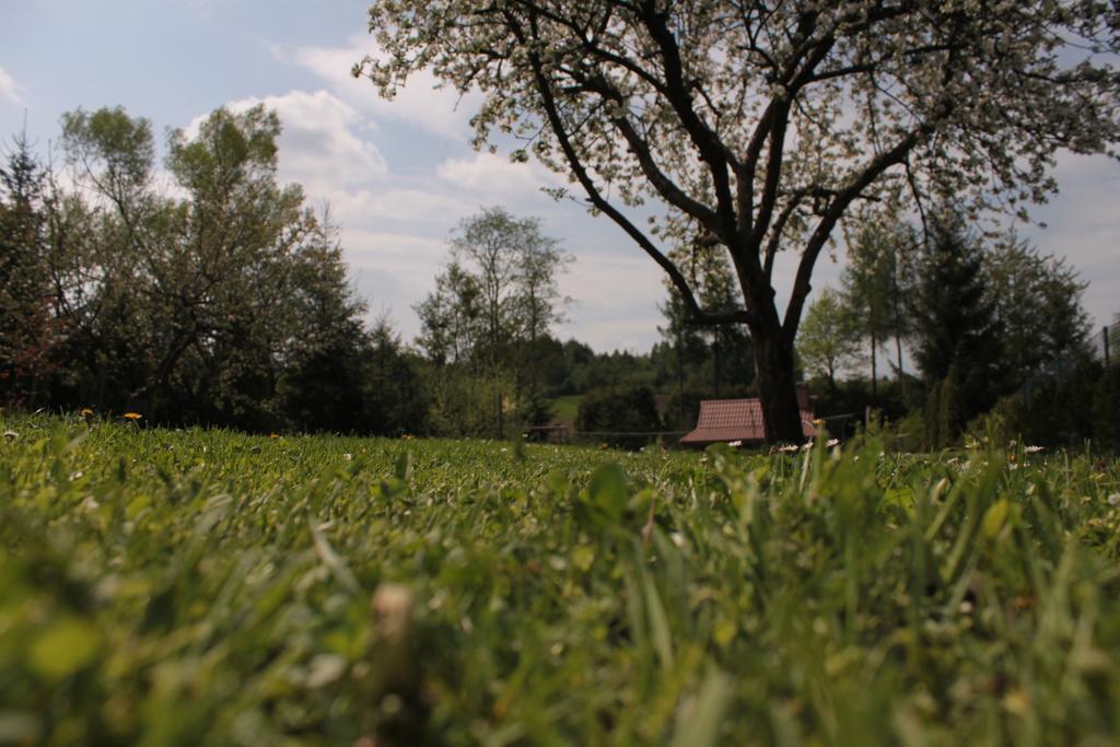 Villa Uroczysko Lesko Esterno foto